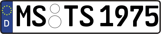 MS-TS1975