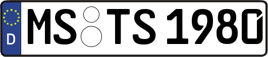 MS-TS1980