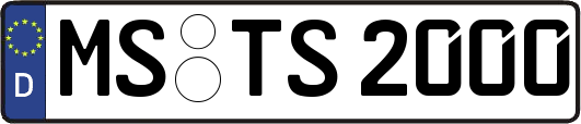 MS-TS2000