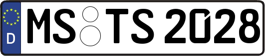 MS-TS2028