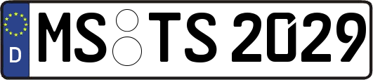 MS-TS2029