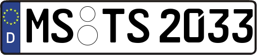 MS-TS2033