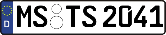 MS-TS2041
