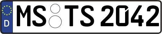 MS-TS2042
