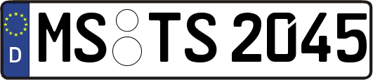 MS-TS2045