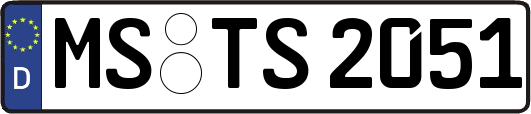 MS-TS2051