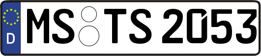 MS-TS2053