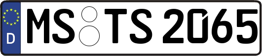 MS-TS2065