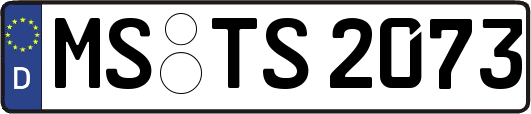 MS-TS2073