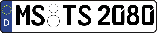 MS-TS2080
