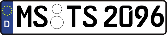 MS-TS2096