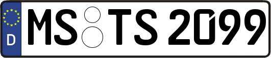 MS-TS2099