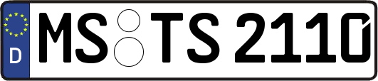 MS-TS2110