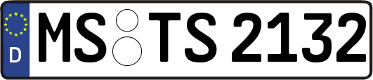 MS-TS2132