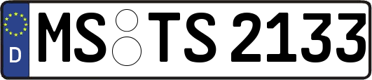 MS-TS2133