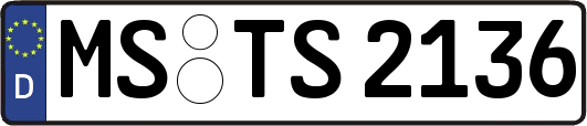 MS-TS2136
