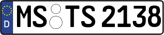 MS-TS2138