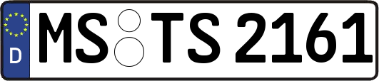 MS-TS2161
