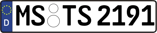 MS-TS2191