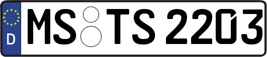 MS-TS2203