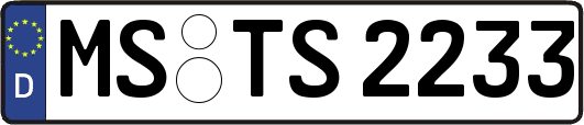 MS-TS2233