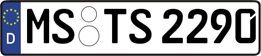 MS-TS2290