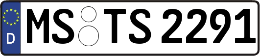 MS-TS2291