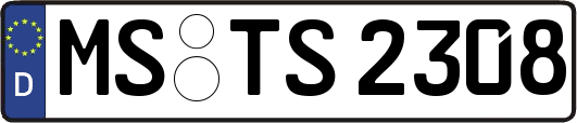 MS-TS2308