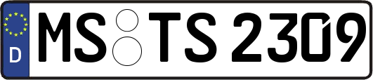 MS-TS2309