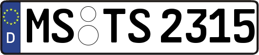 MS-TS2315