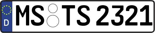 MS-TS2321