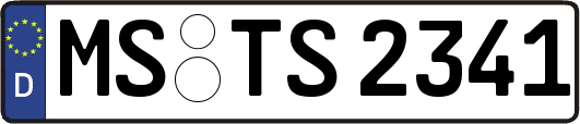 MS-TS2341