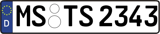 MS-TS2343