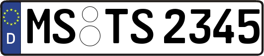 MS-TS2345