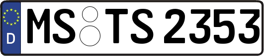 MS-TS2353