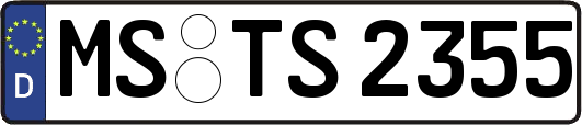 MS-TS2355