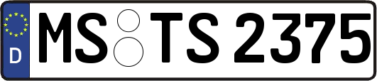 MS-TS2375