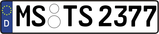 MS-TS2377