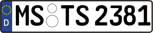MS-TS2381
