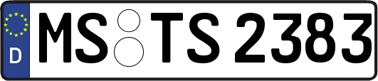 MS-TS2383