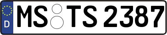 MS-TS2387