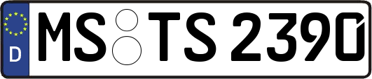 MS-TS2390