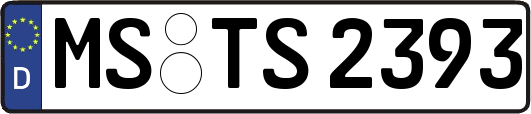 MS-TS2393