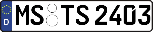 MS-TS2403