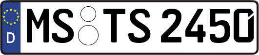 MS-TS2450