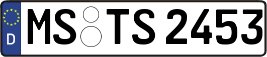 MS-TS2453