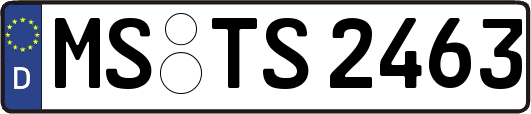 MS-TS2463