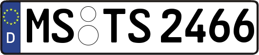 MS-TS2466