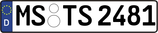 MS-TS2481