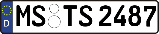 MS-TS2487